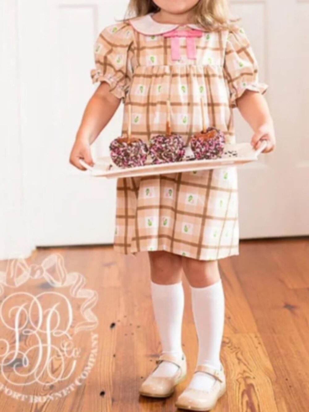 TBBC Beaufort Bonnet Company Pink and White Plaid Dress floral 5T